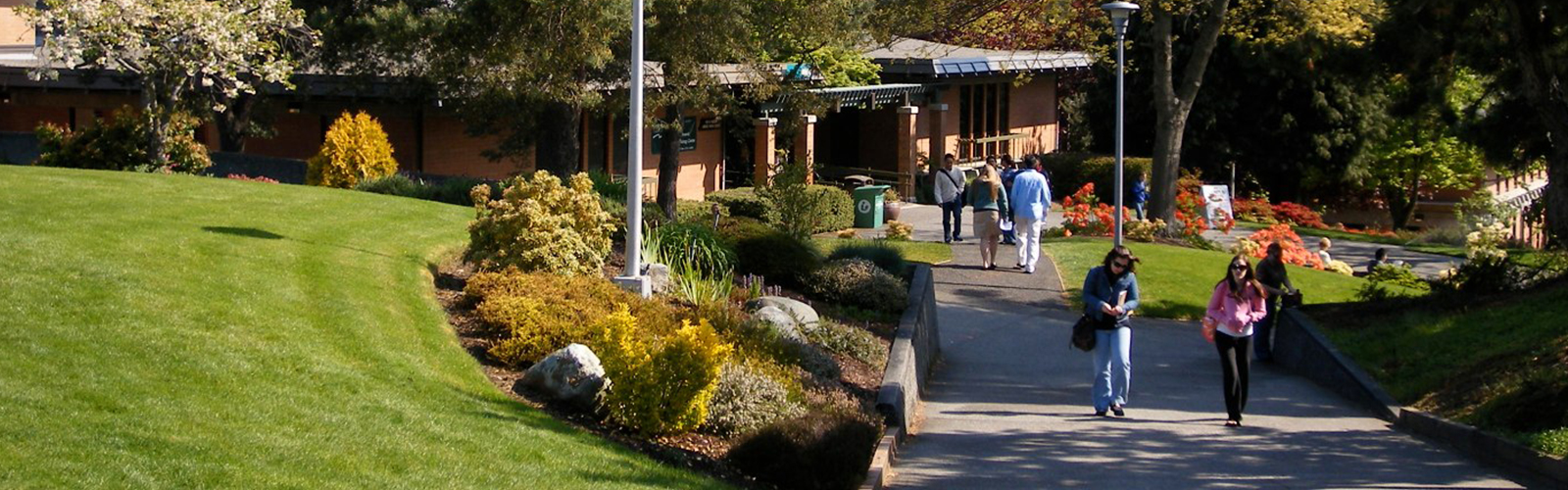 美國雪蘭社區大學 Shoreline Community College